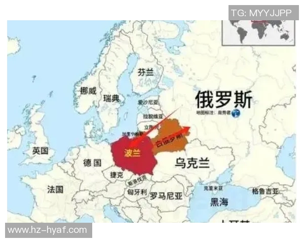 俄罗斯与波兰301战役的历史回顾与战术分析